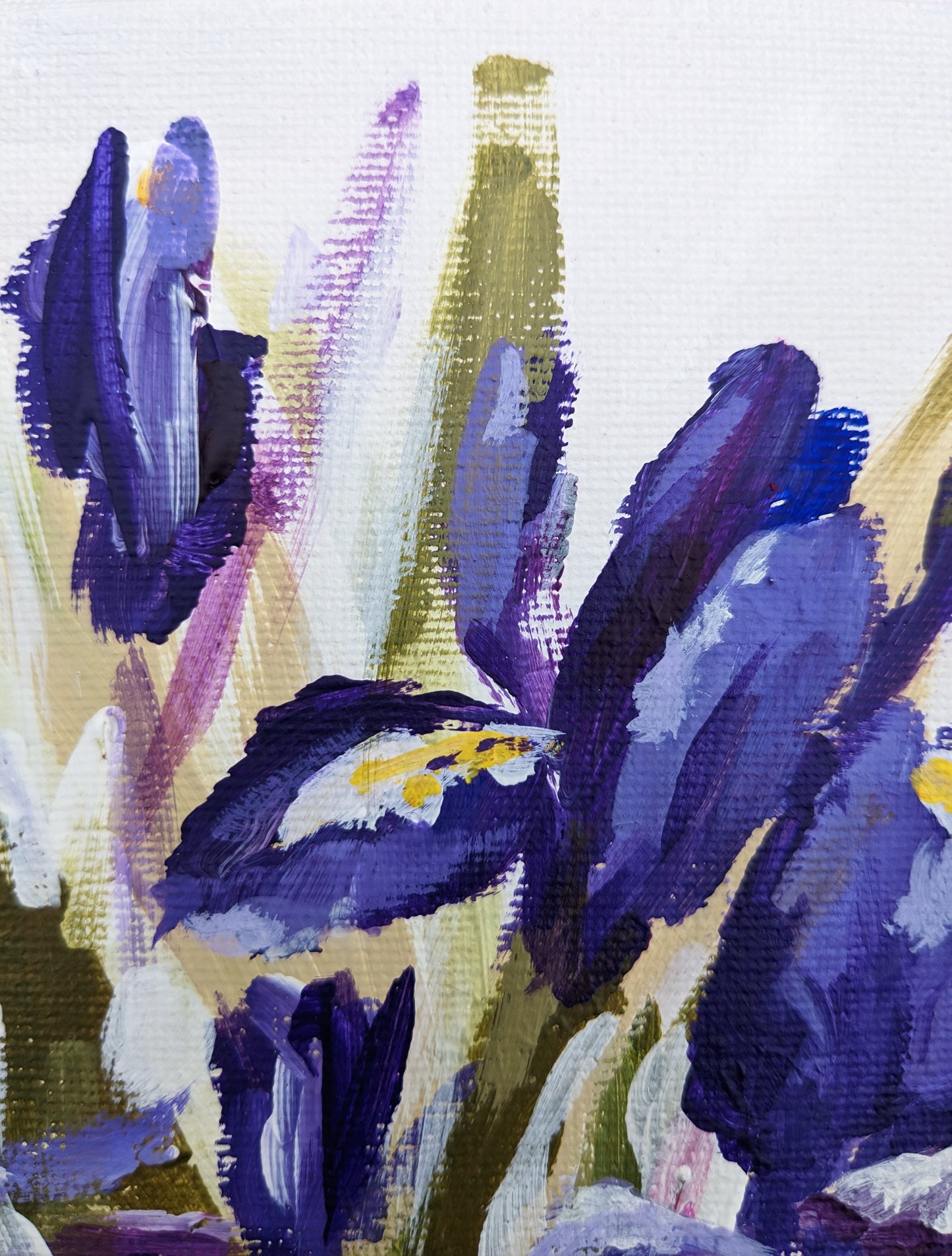 Iris Shower (30x30cm)