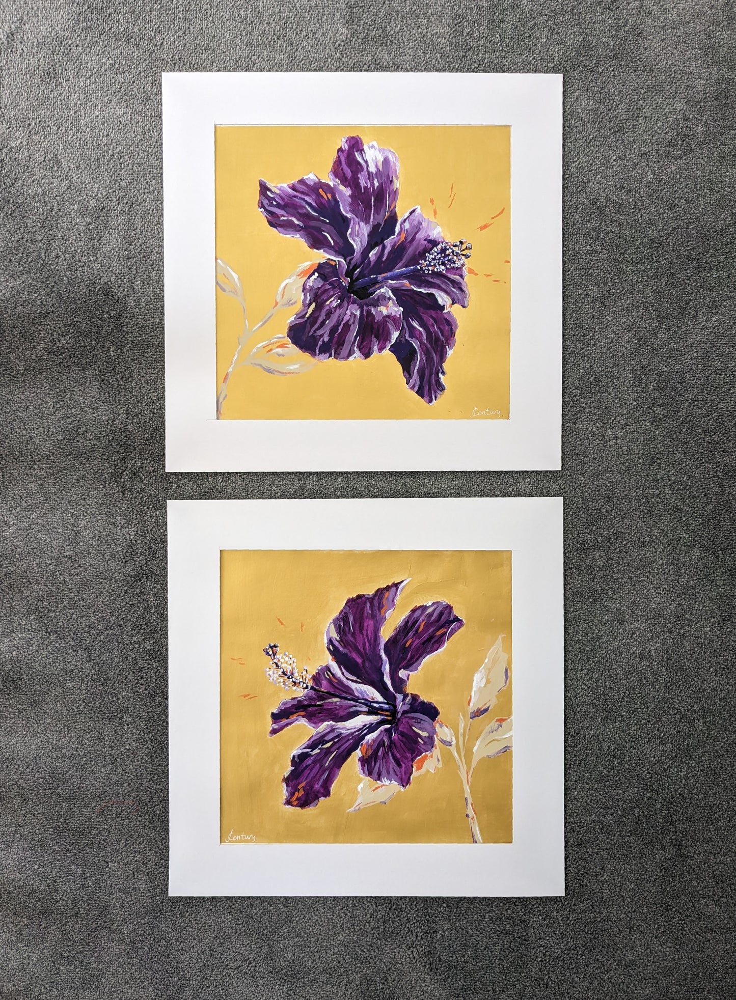 Pomp & Circumstance (30x30cm)