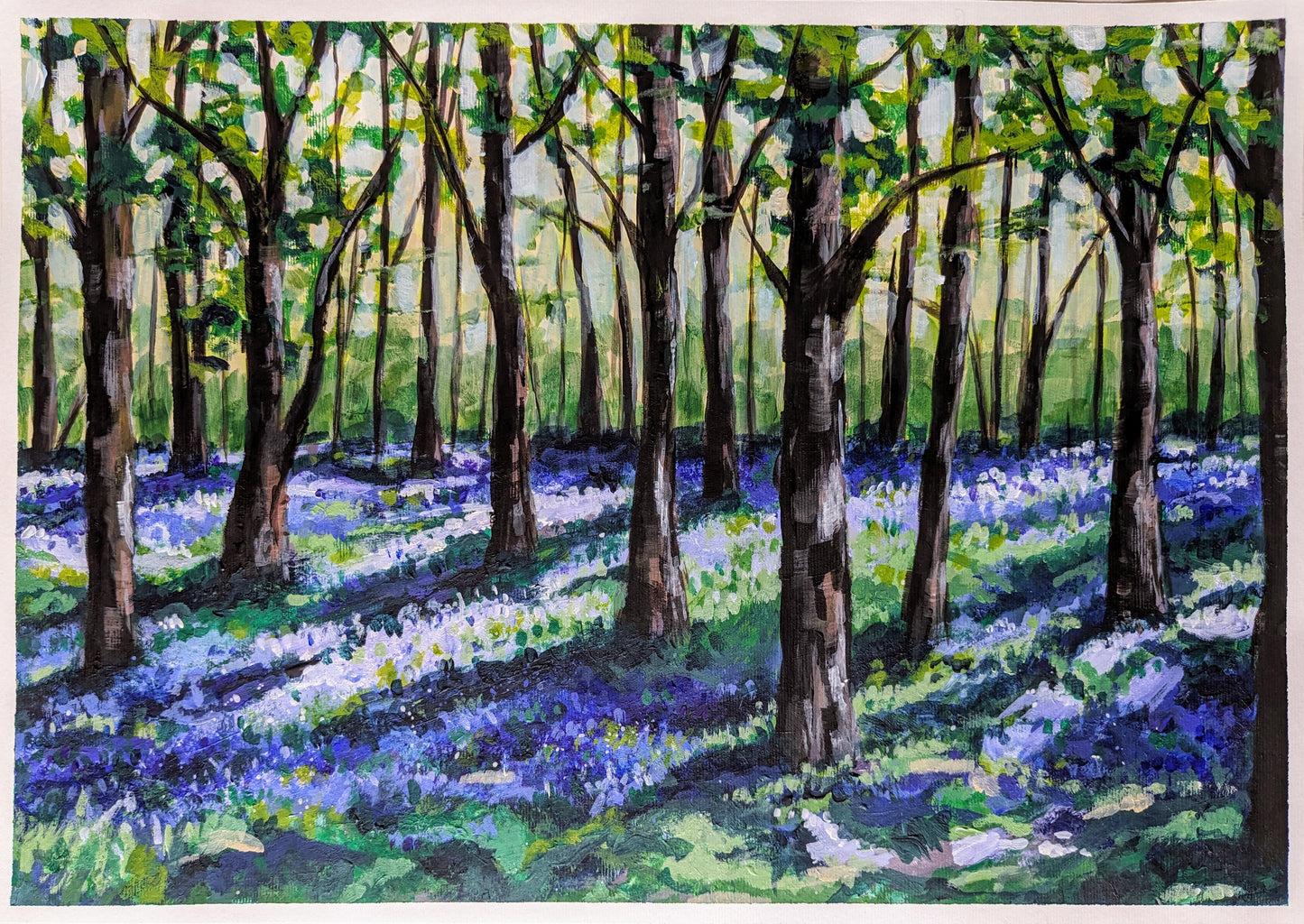 Bluebell Woods
