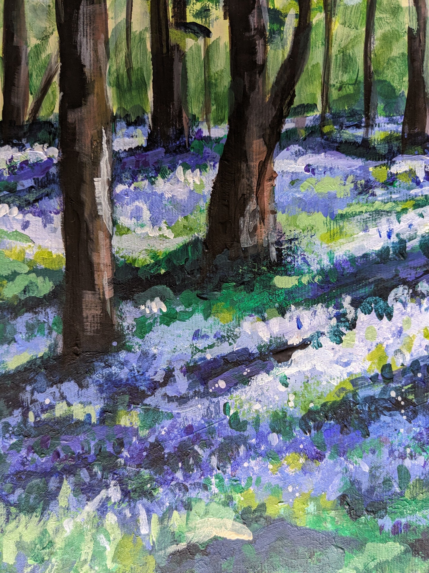 Bluebell Woods