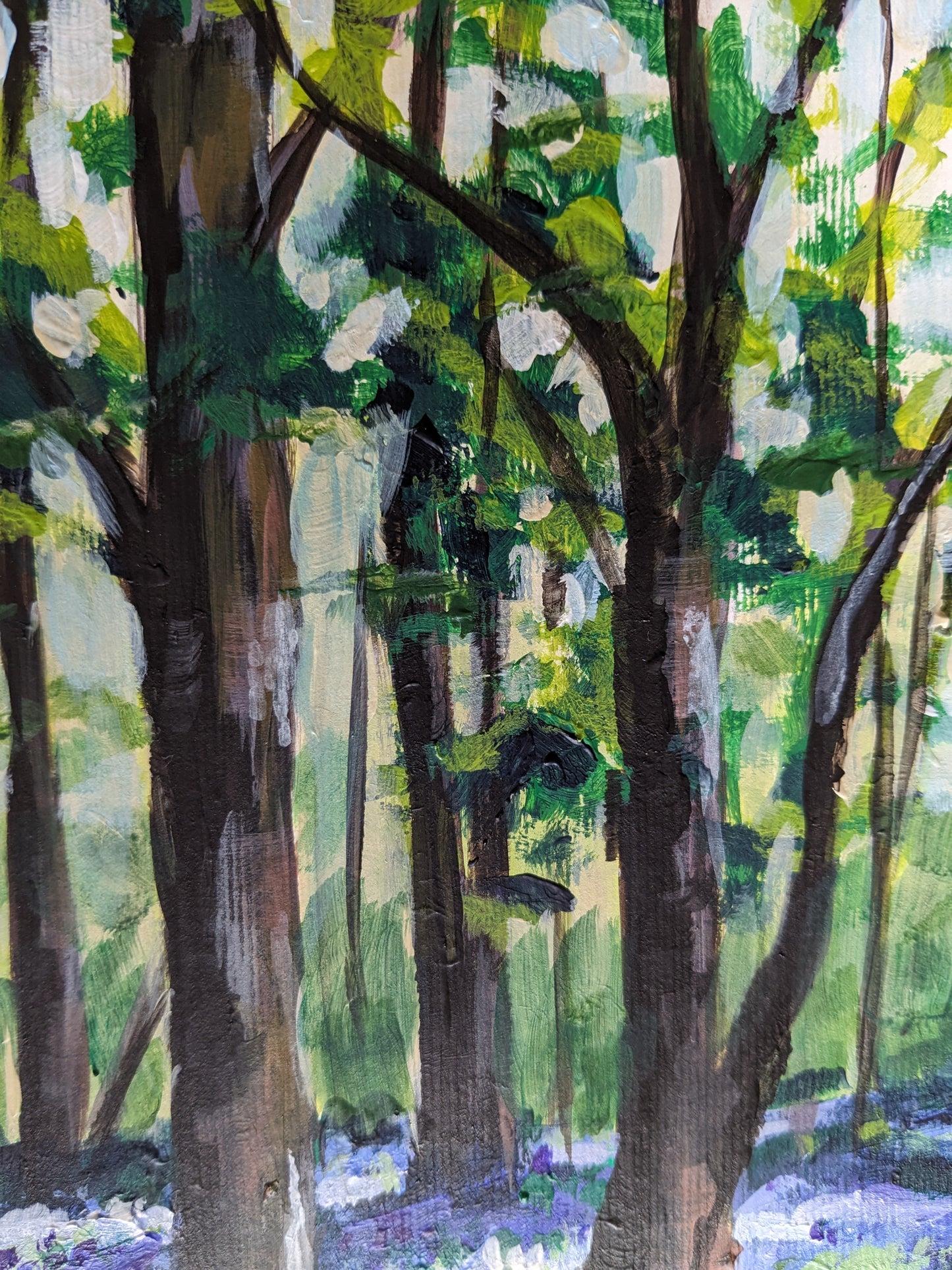 Bluebell Woods