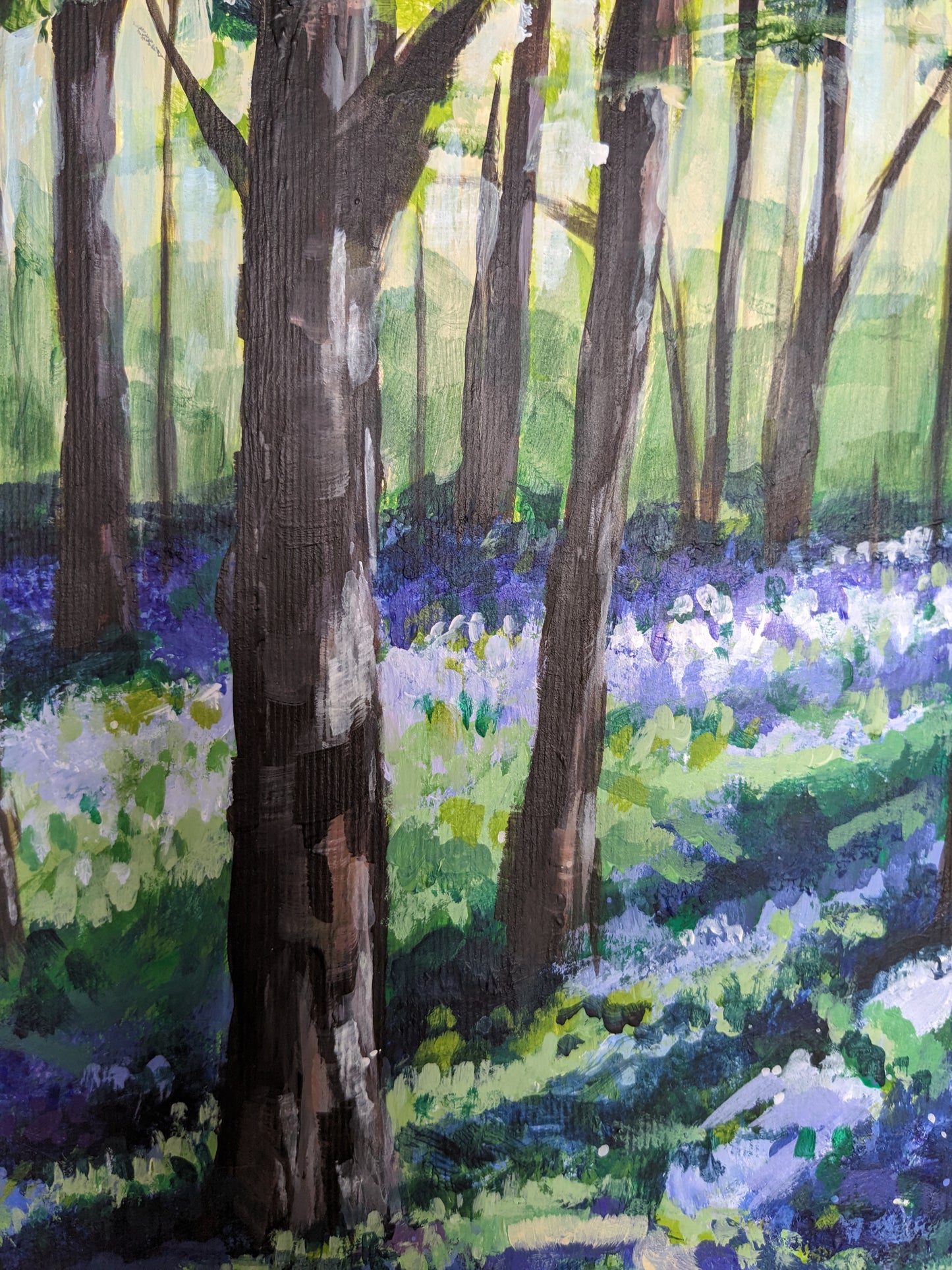 Bluebell Woods