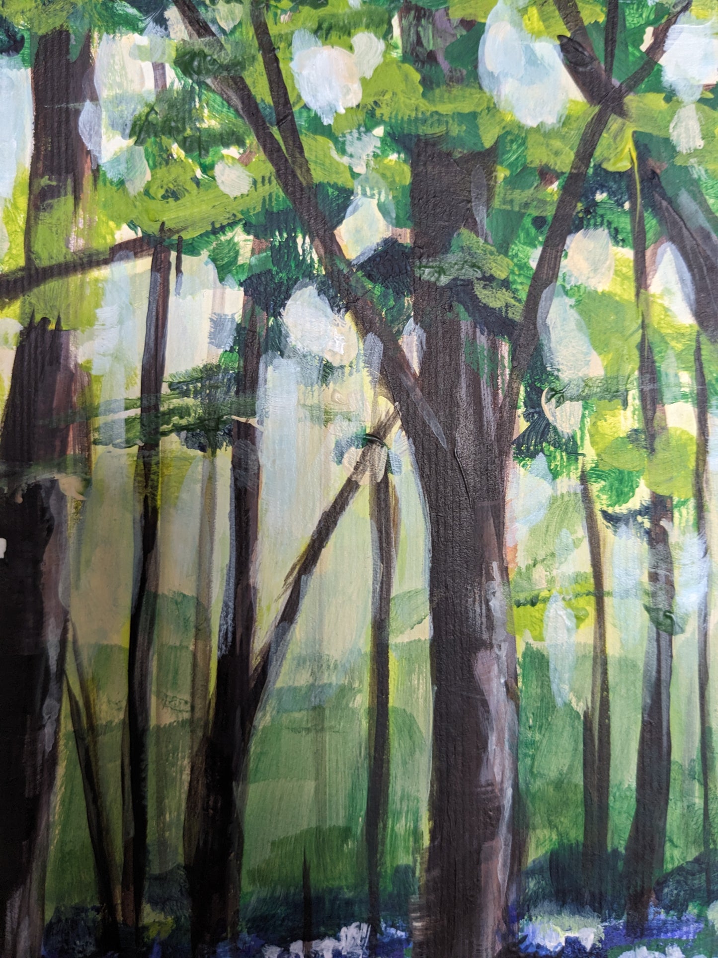 Bluebell Woods