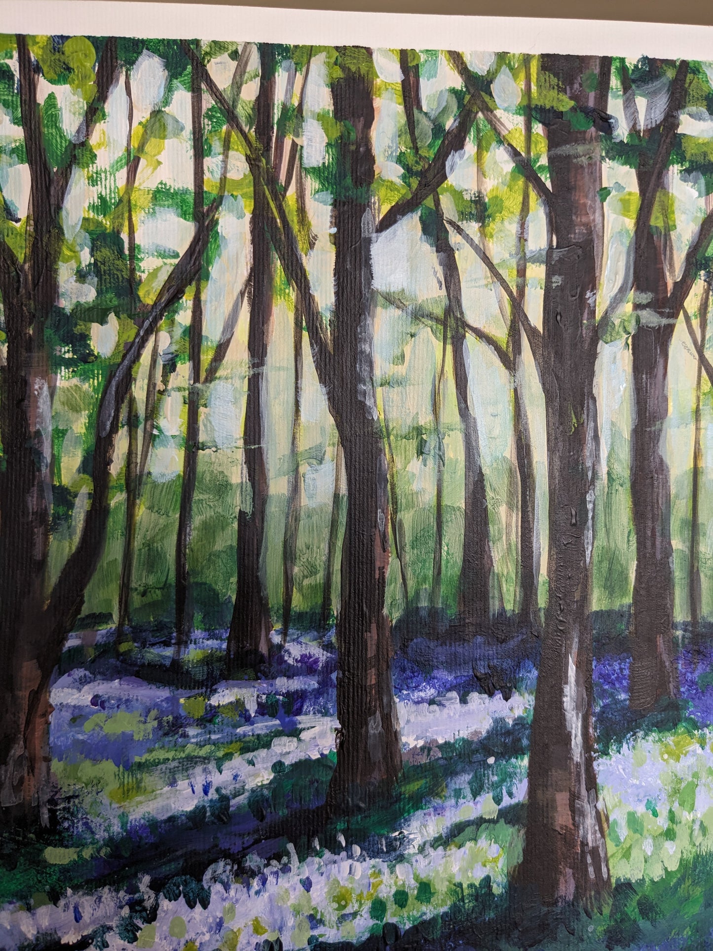 Bluebell Woods