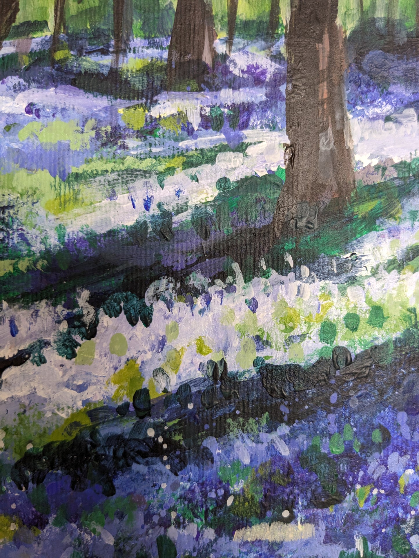Bluebell Woods