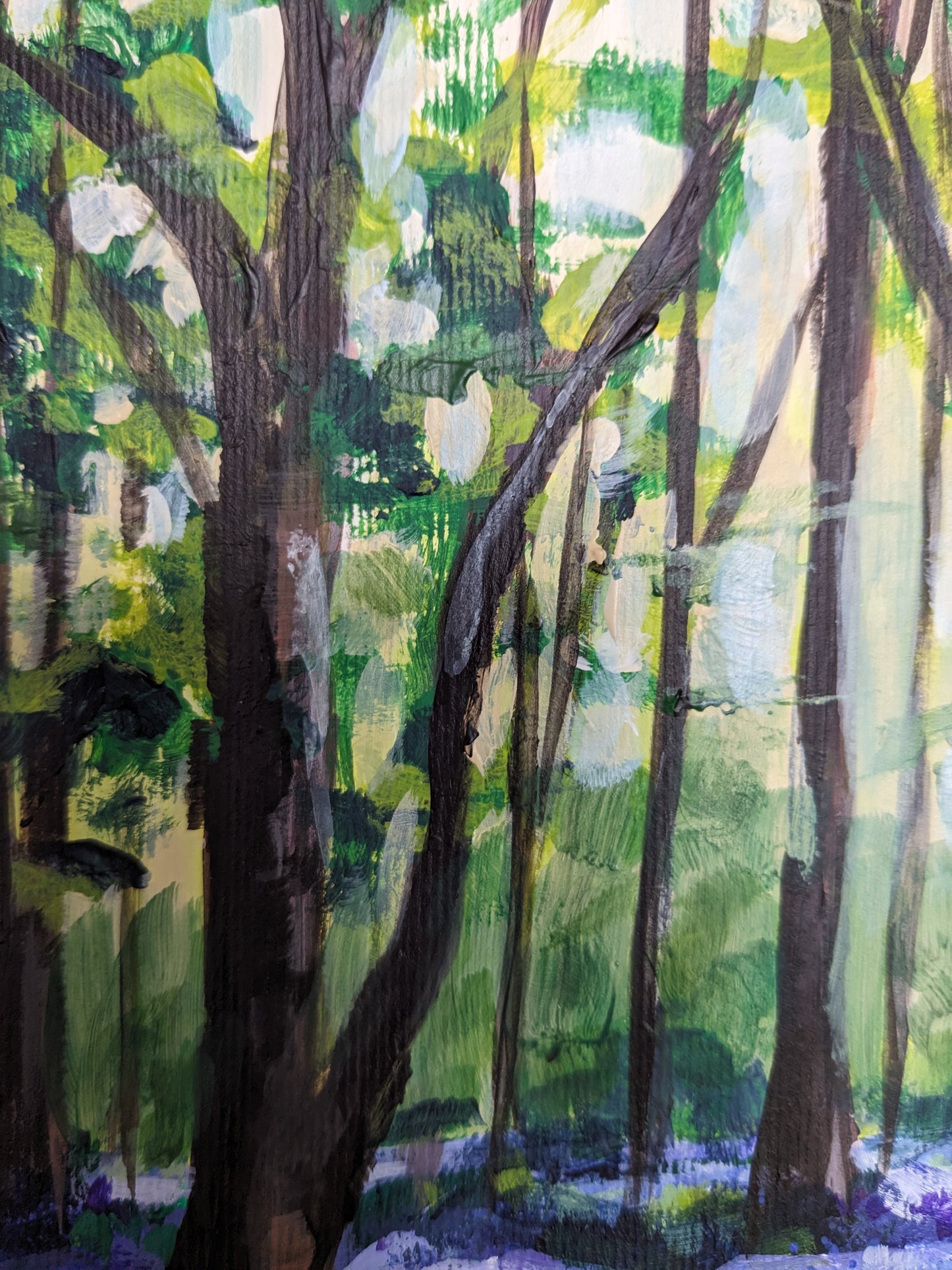 Bluebell Woods