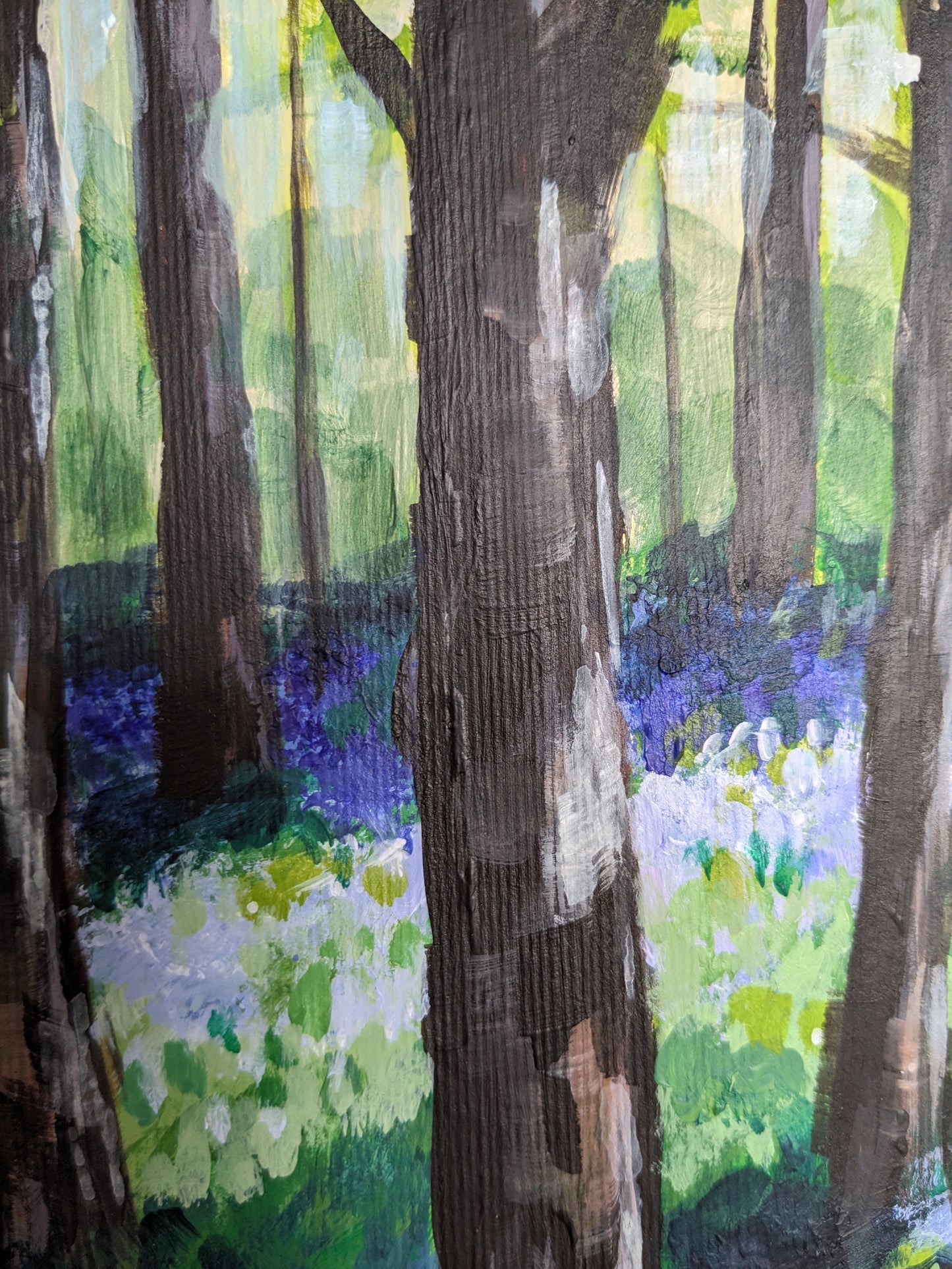Bluebell Woods