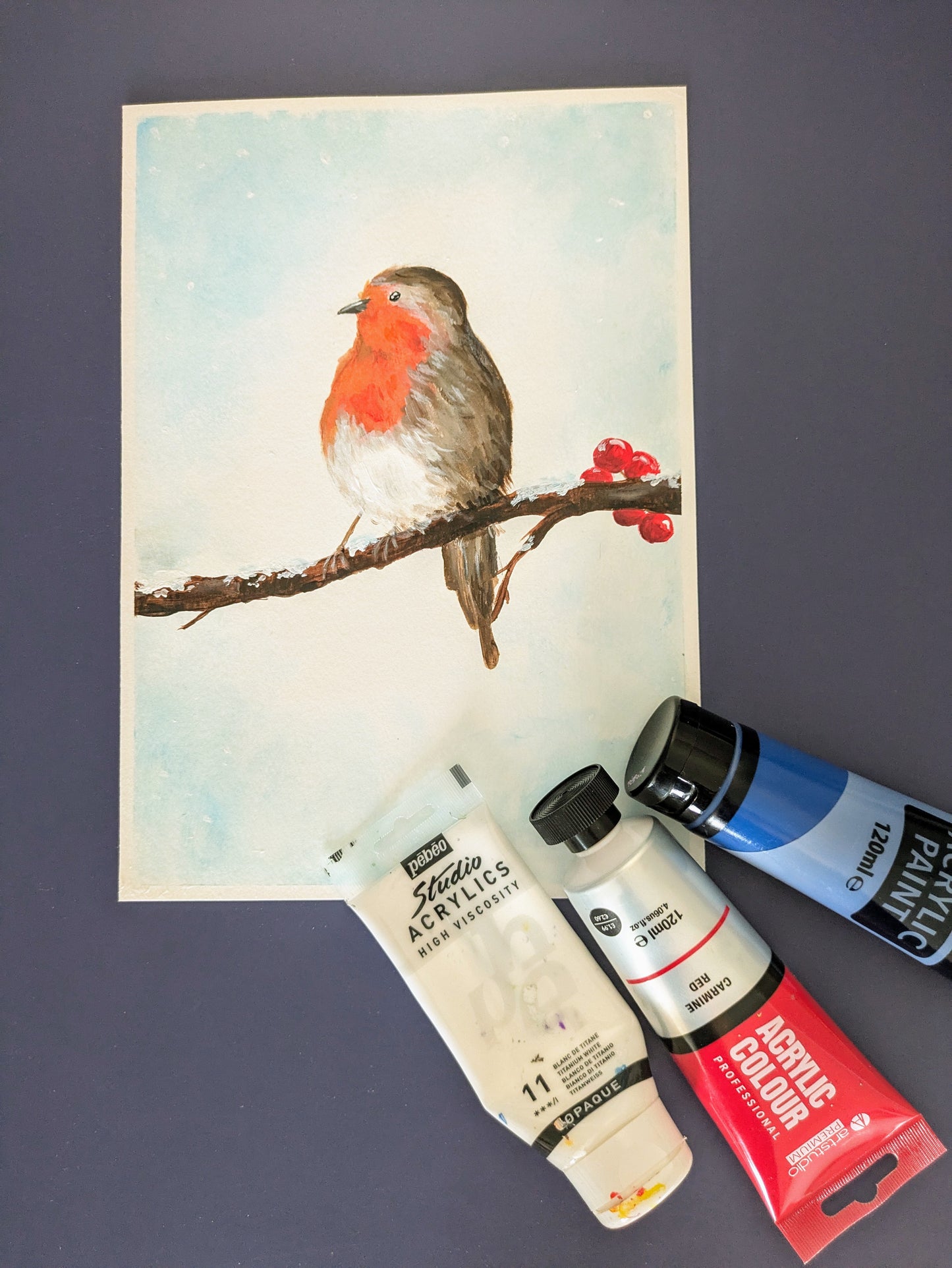 ROBIN RED BREAST - Painting Workshop at The Odyssey Spa, Knebworth, Hertfordshire - Monday 8th December 2024, 10am