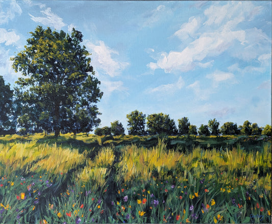 Golden Fields (55x45cm)