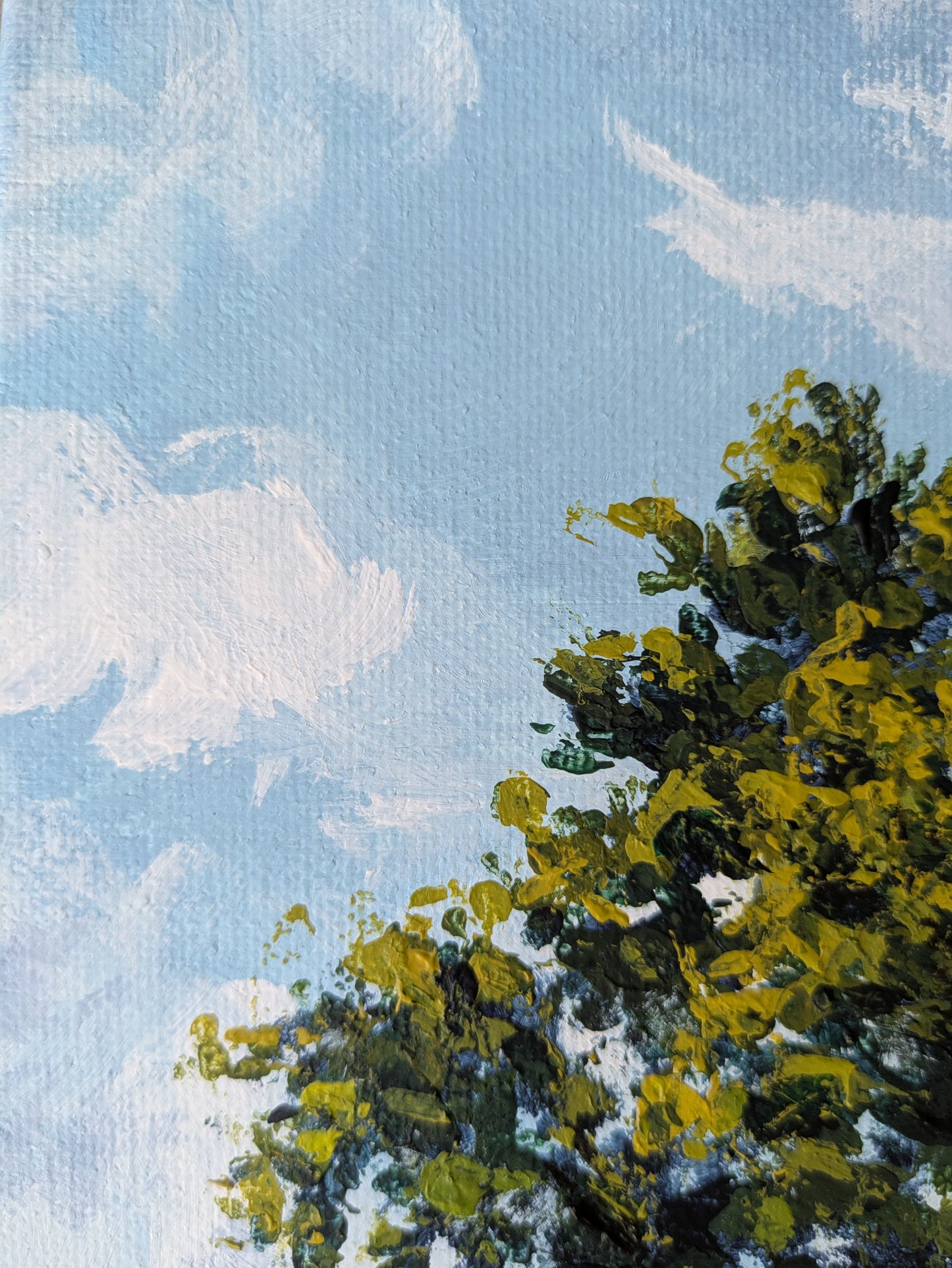 Golden Fields (55x45cm)