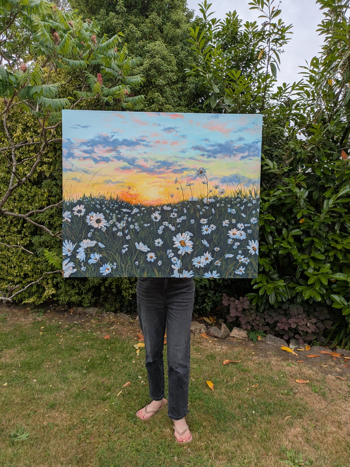 Wild Daisies (90x75cm)