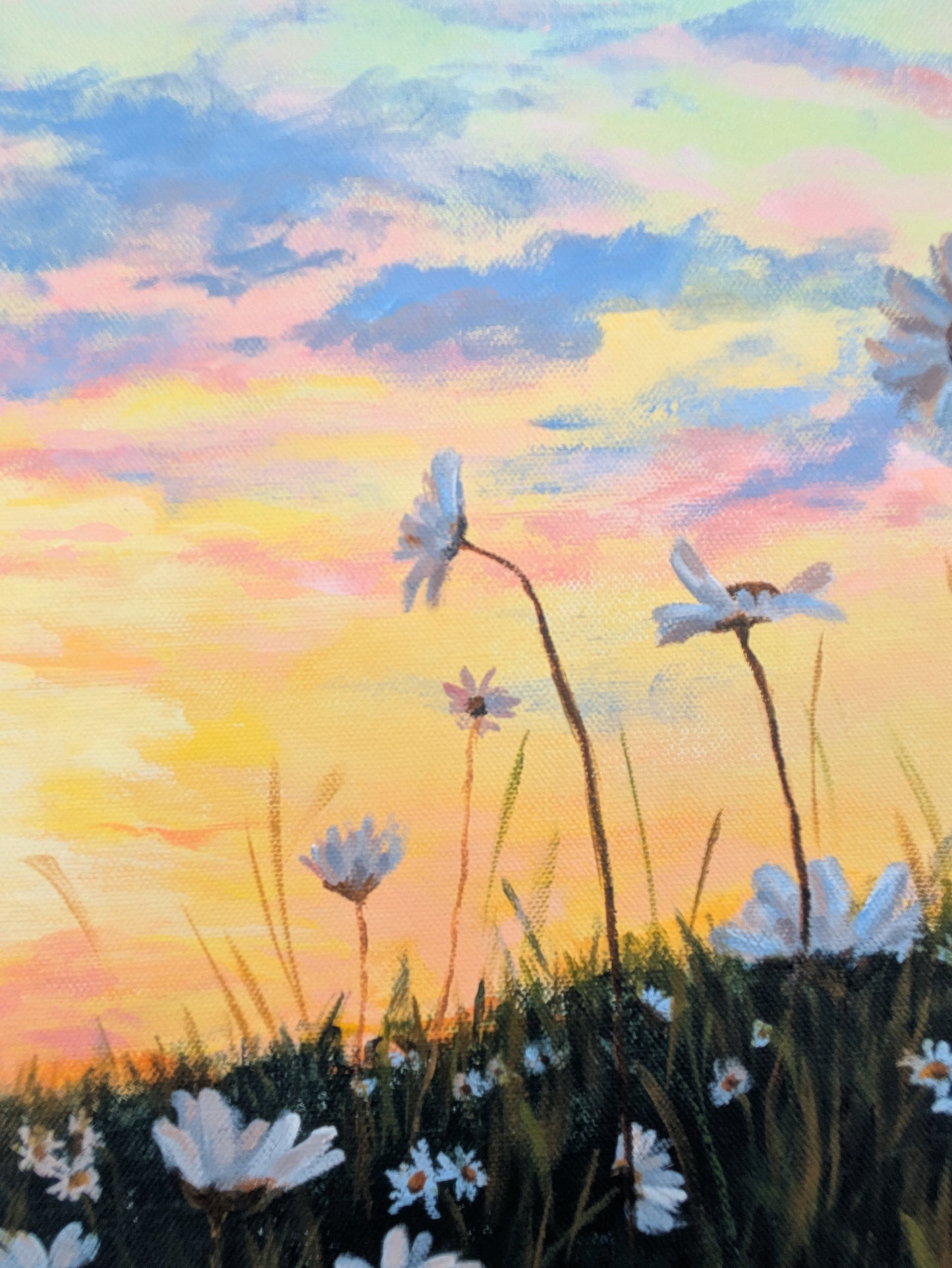 Wild Daisies (90x75cm)
