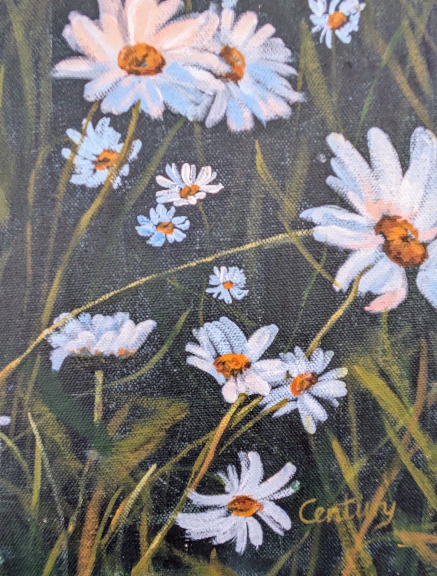 Wild Daisies (90x75cm)