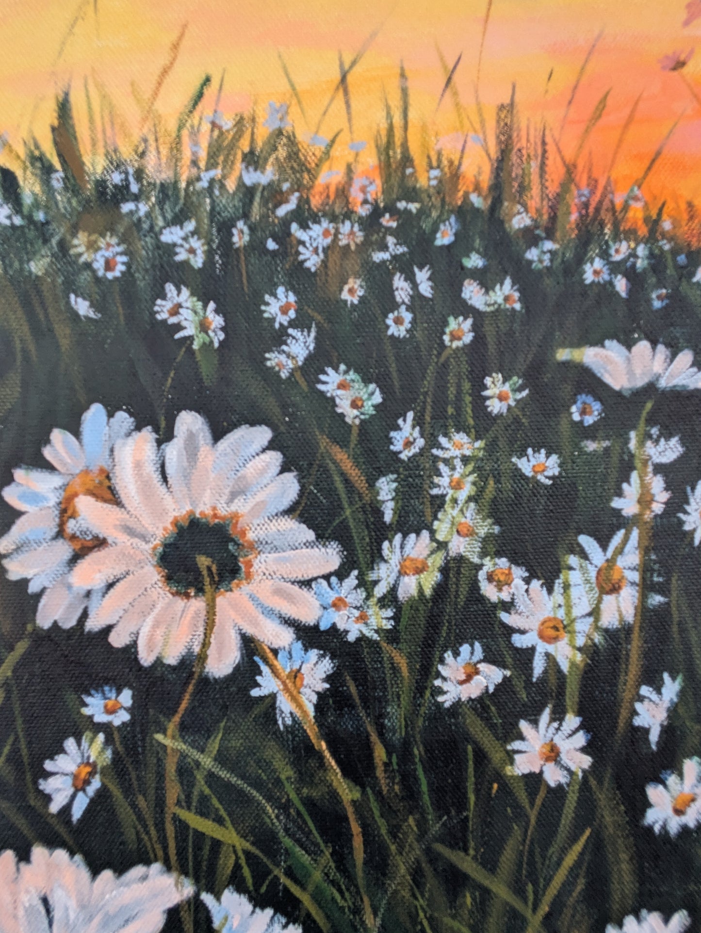 Wild Daisies (90x75cm)