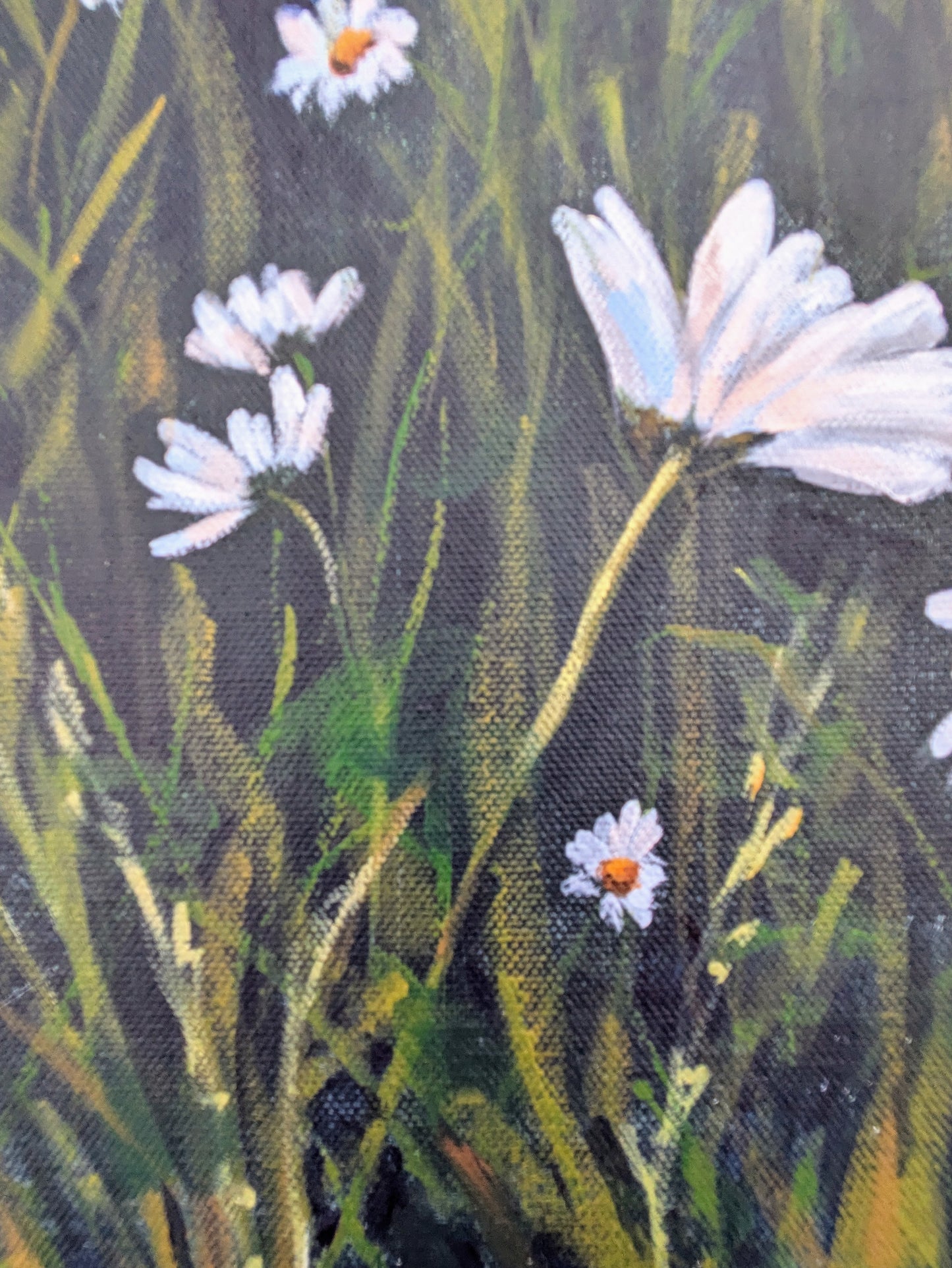 Wild Daisies (90x75cm)