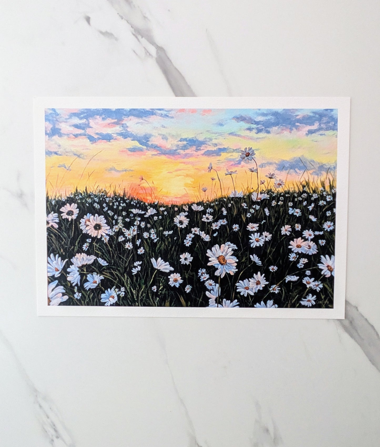 Wild Daisies PRINT