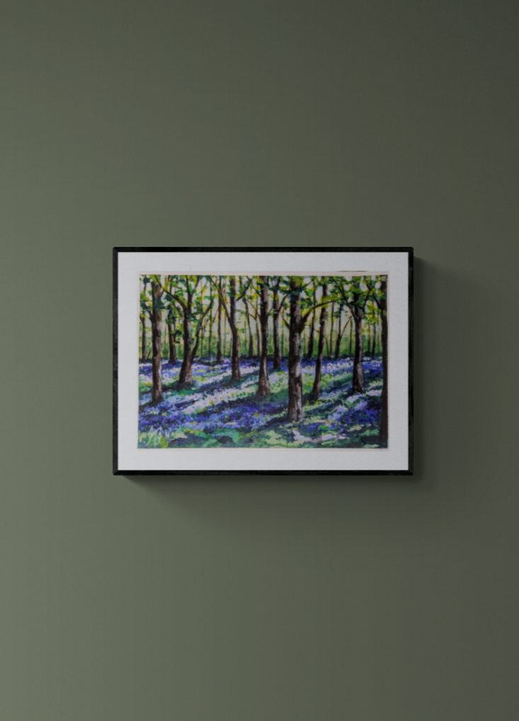 Bluebell Woods