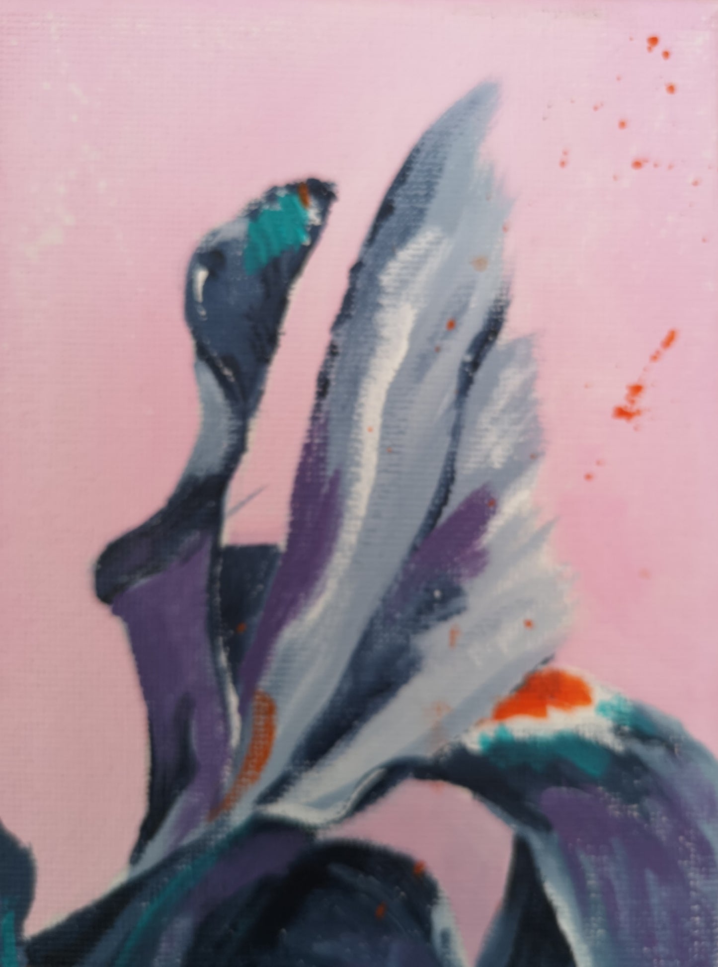 Splendour (30x30cm)