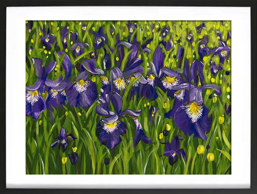 Iris landscape acrylic painting in expressive style. Bold purple, yellow, white, green with leaves and flowers. Framed in black by Judy Century Art.