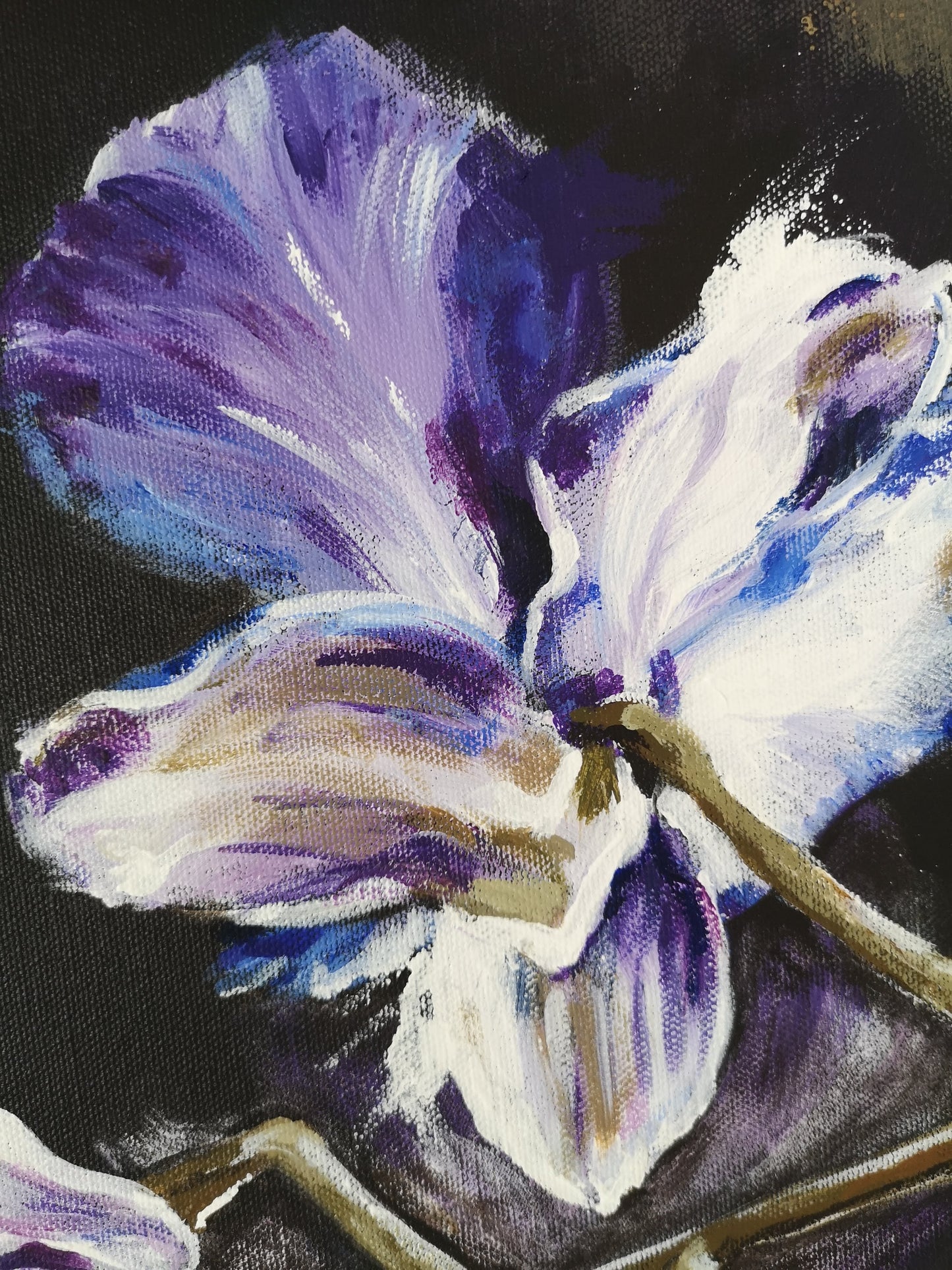 Orchid Falls (80x80cm)