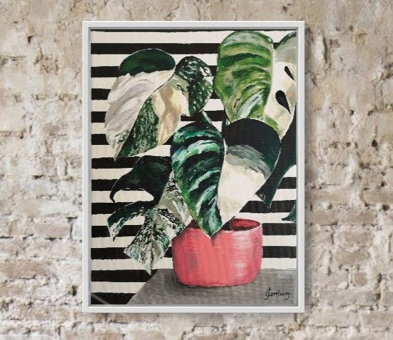 Albino Monstera Plant outlet Painting!