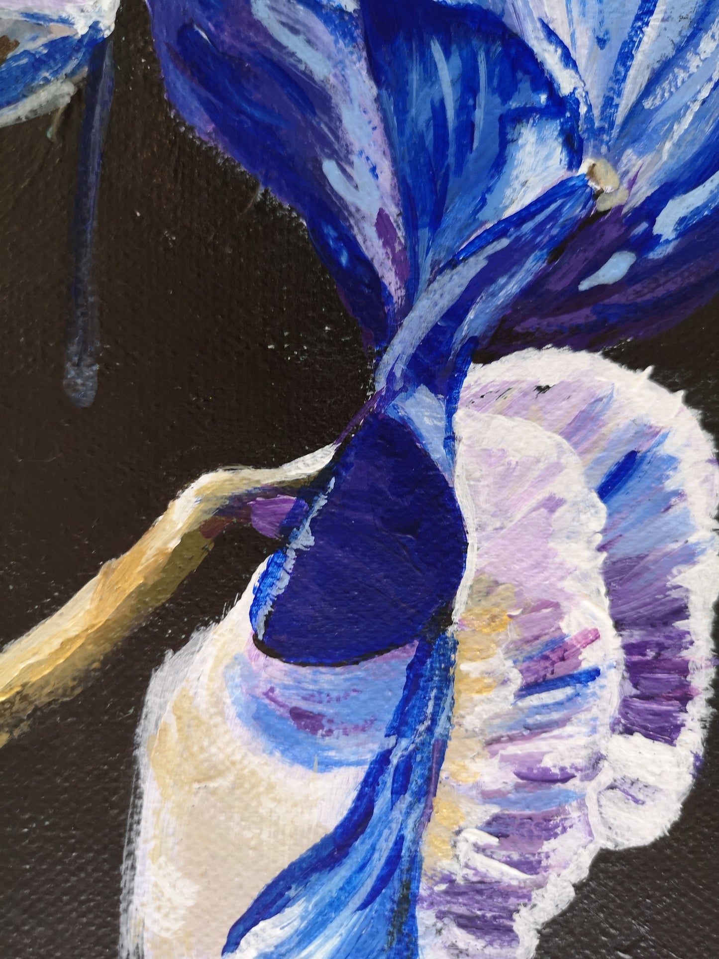 Orchid Luxe (50x50cm)