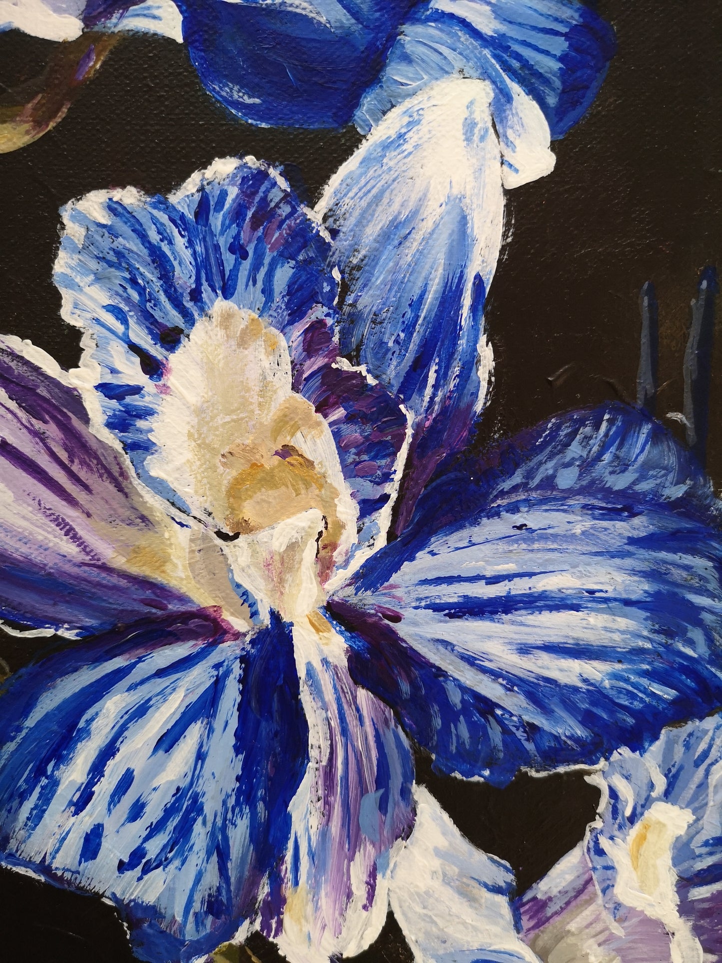 Orchid Luxe (50x50cm)