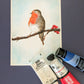 ROBIN RED BREAST - Painting Workshop at Megan's Restaurant, Welwyn, Hertfordshire - Tuesday 16th DECEMBER 2025, 7.30pm