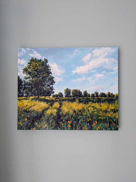 Golden Fields (55x45cm)