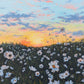 Wild Daisies PRINT