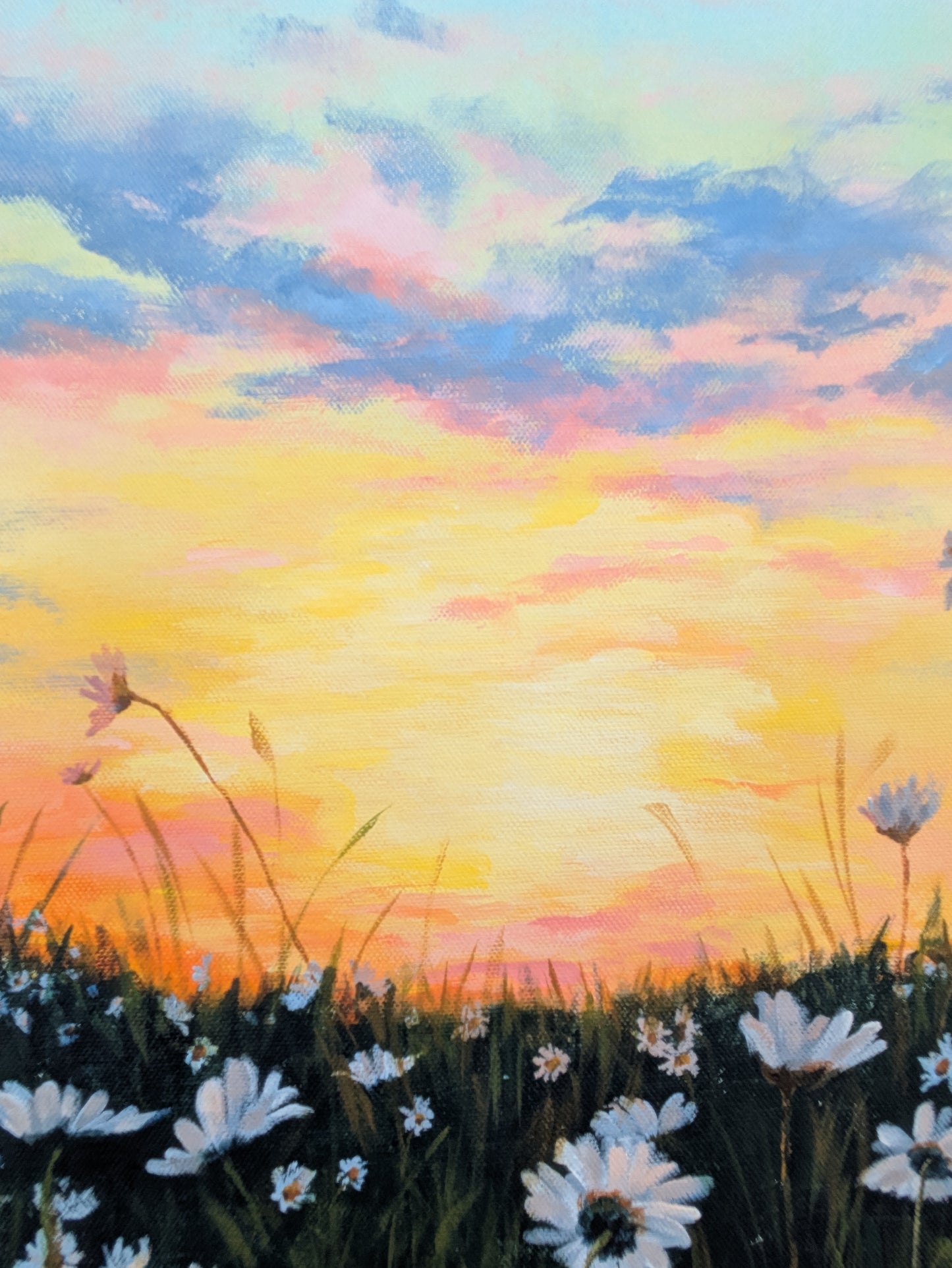 Wild Daisies (90x75cm)