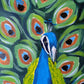 PROUD PEACOCK - Painting Workshop at Odyssey Spa, Knebworth, Hertfordshire - Monday 9th FEBRUARY 2026, 10am