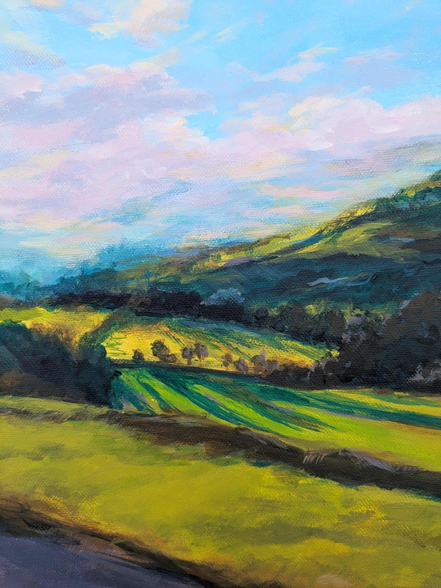 The Lookout (60x42cm)