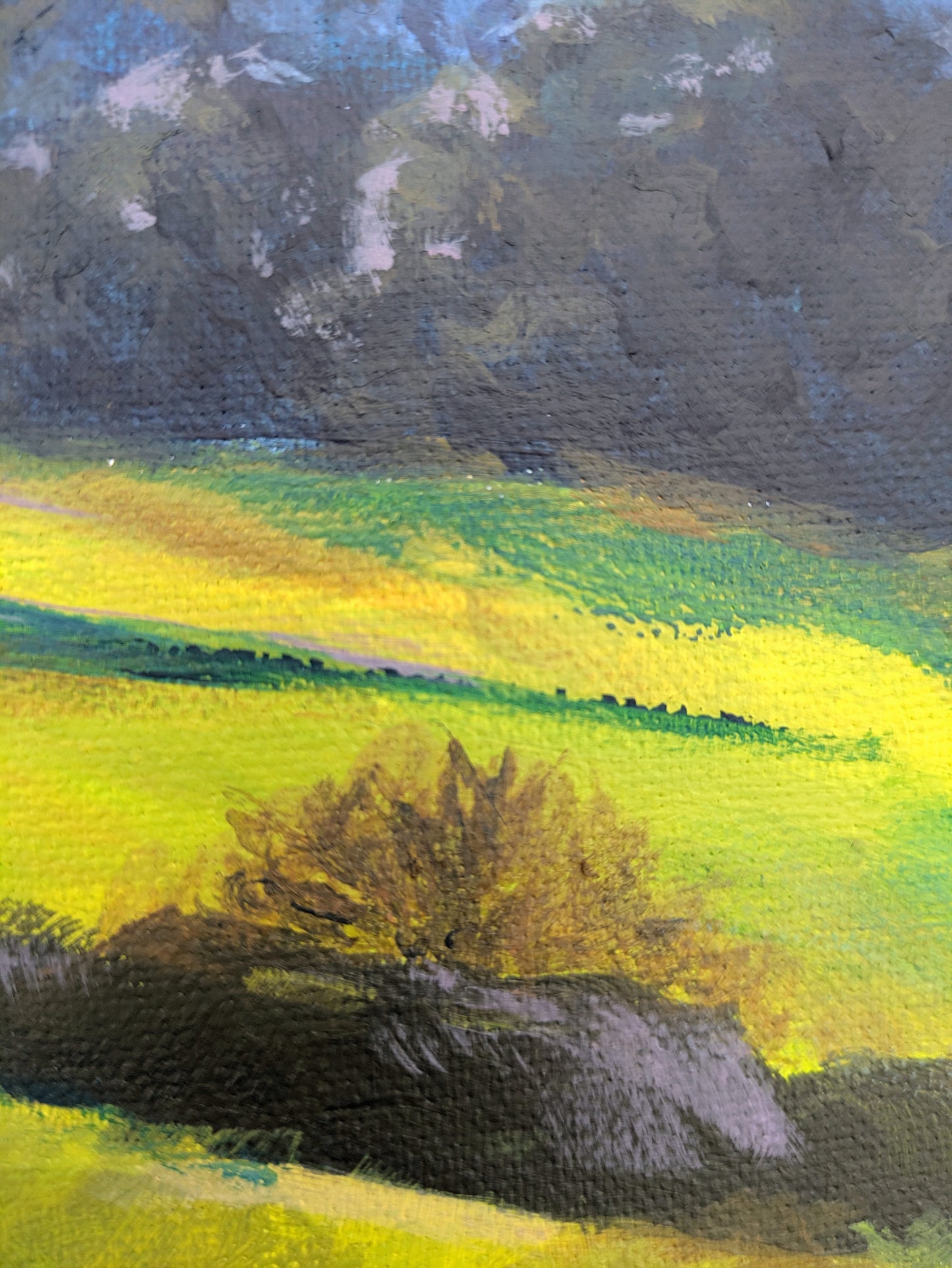 The Lookout (60x42cm)