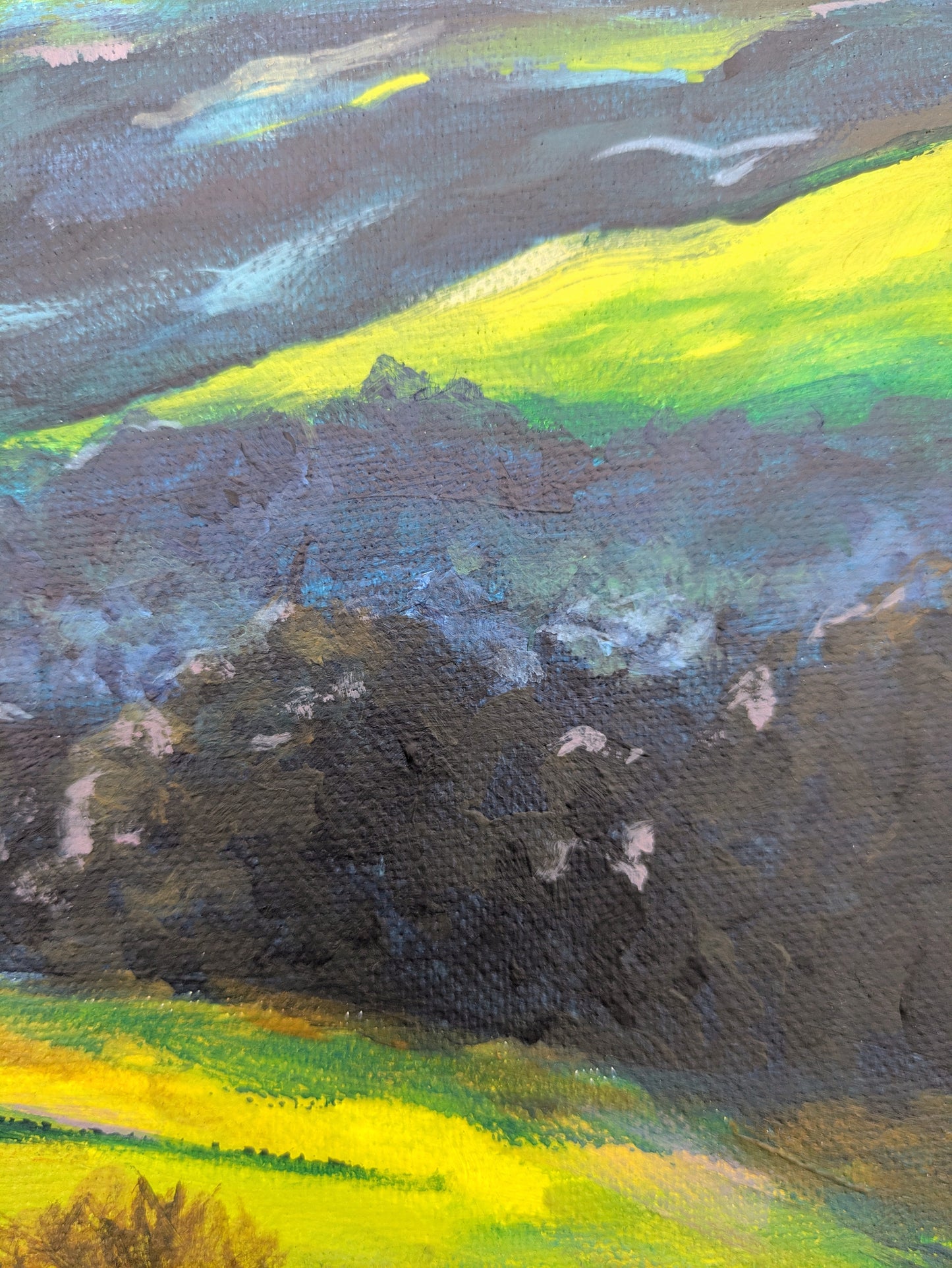 The Lookout (60x42cm)