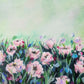 In the Meadow - Pink (50x20cm)