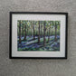 Bluebell Woods
