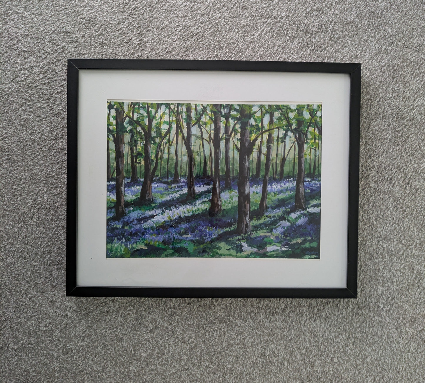 Bluebell Woods
