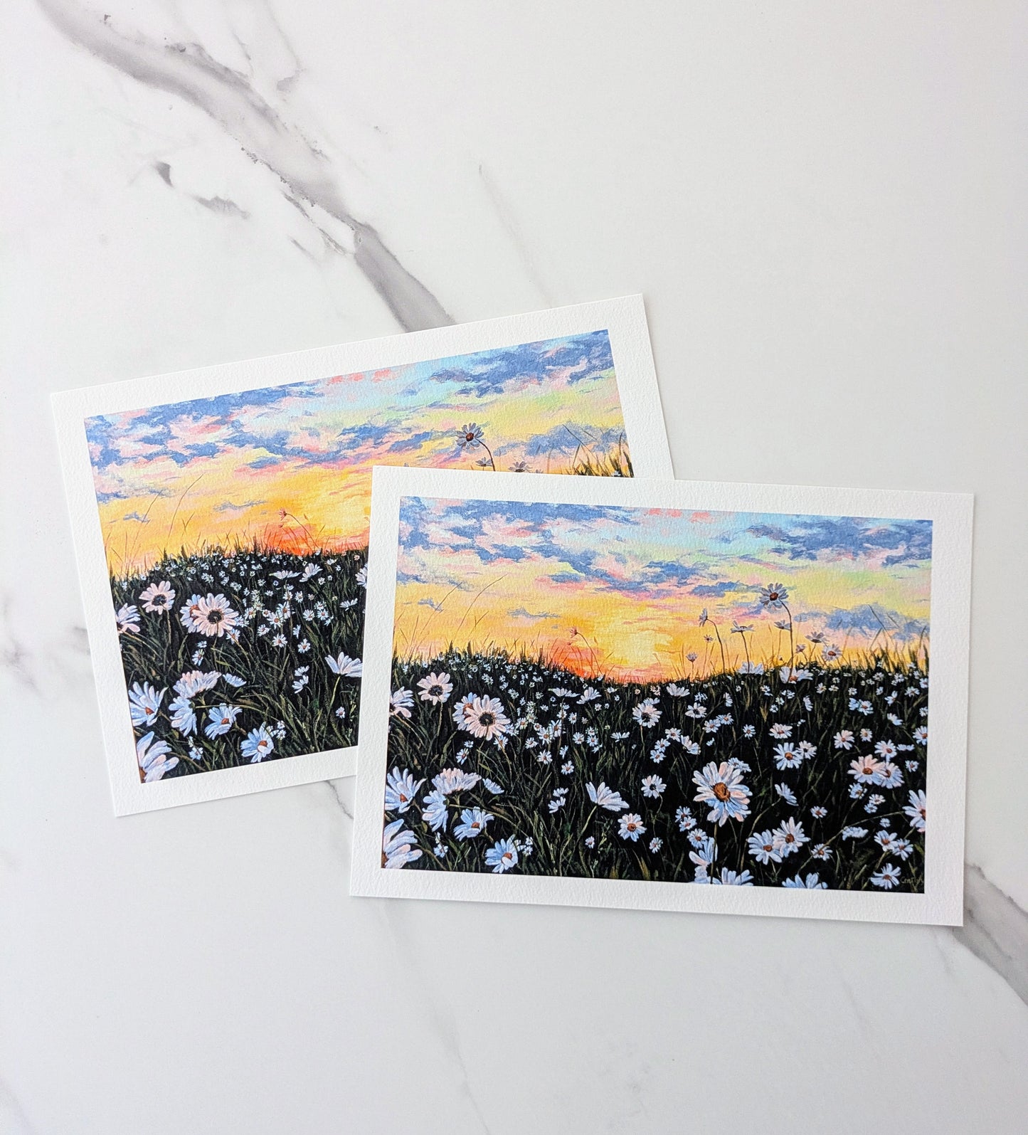 Wild Daisies PRINT