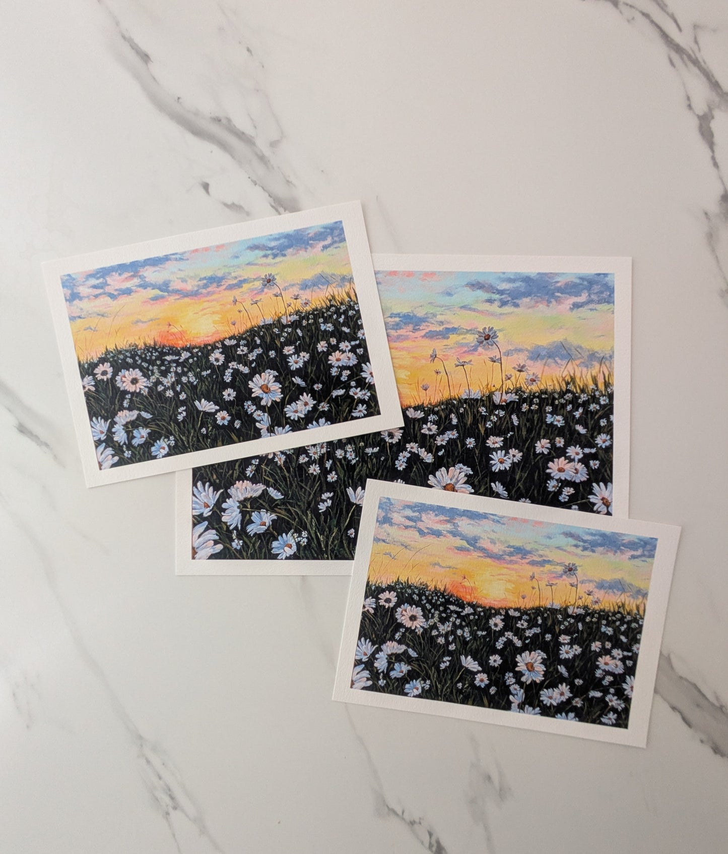 Wild Daisies PRINT