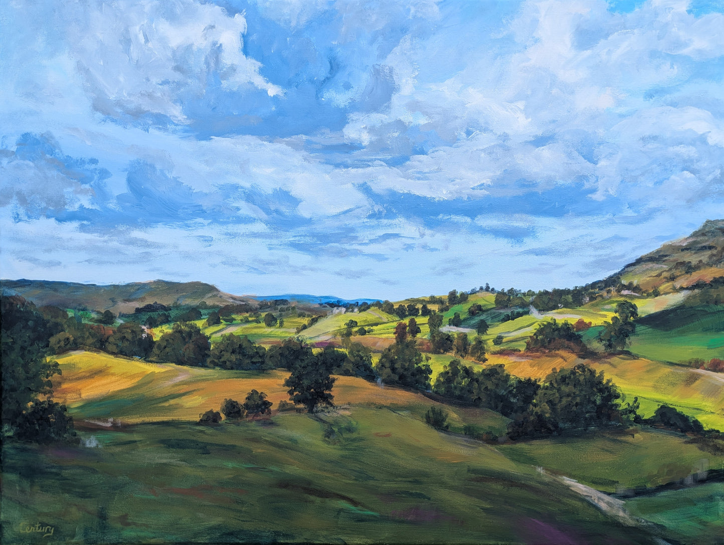 Countryside Glow (80x60cm)