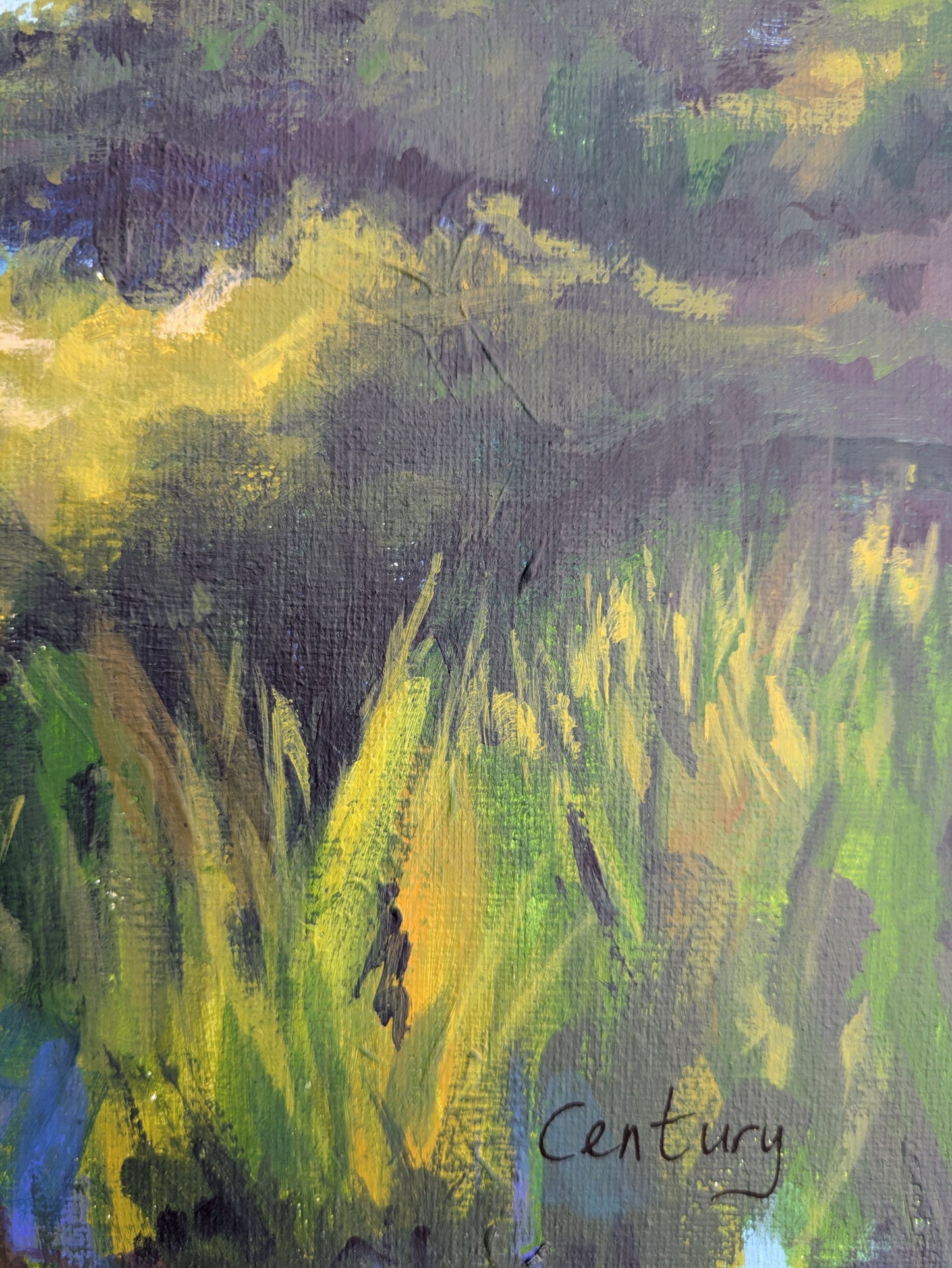 Rugged Sanctuary (60x80cm)