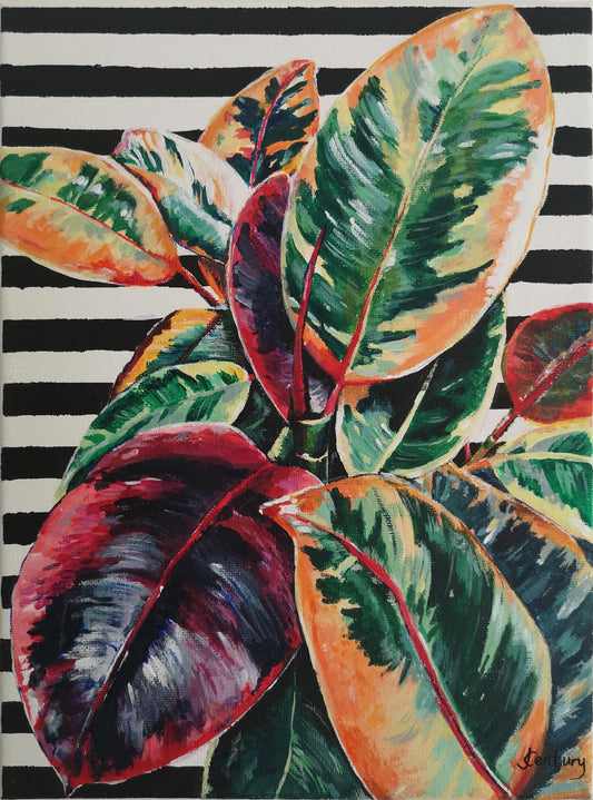 Original Plant painting Rubber Fig realistic acrylic painting on black and white striped pattern background A4 size