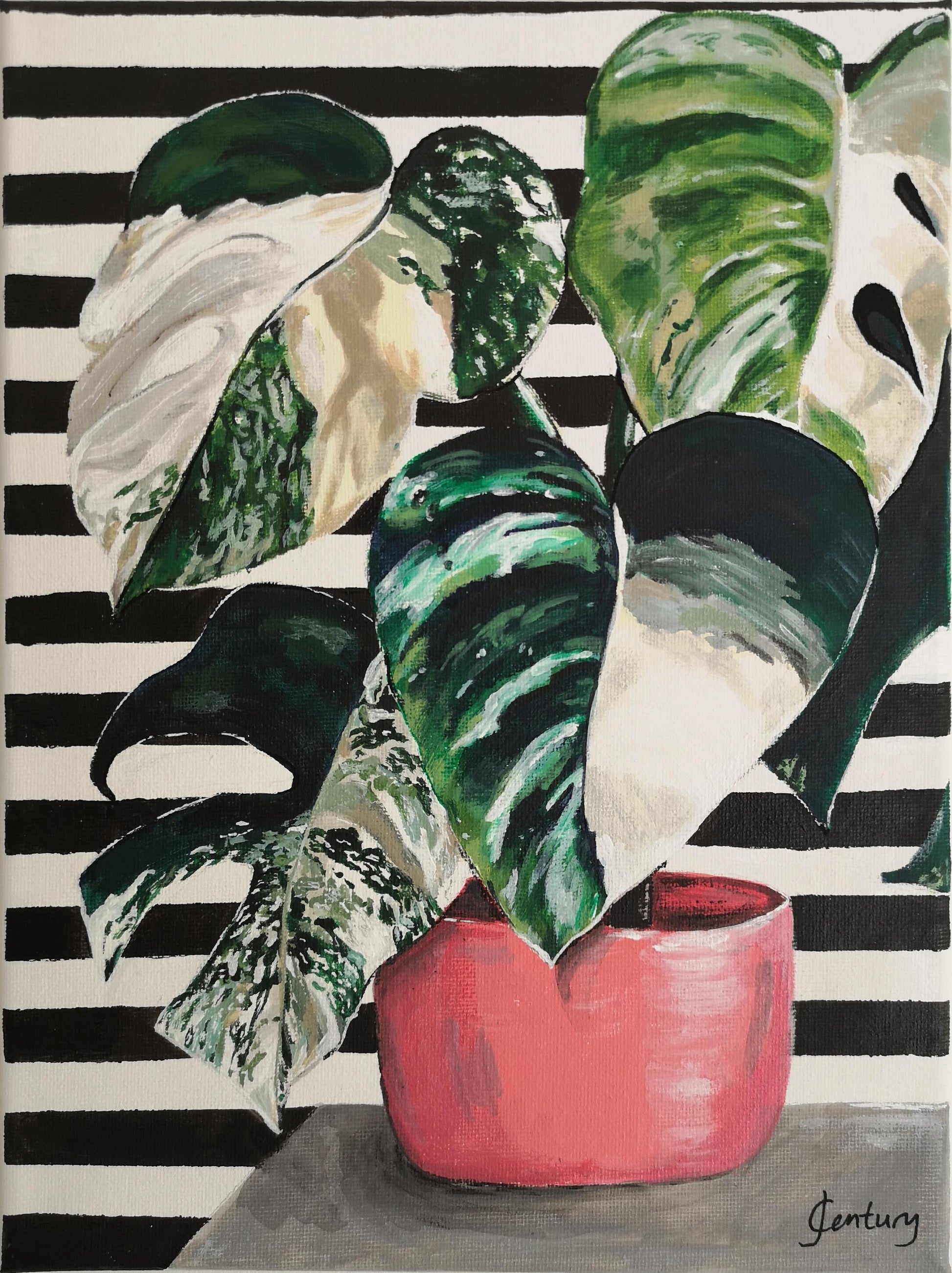 Plant painting, variegated Monstera cheese plant acrylic painting on A4 canvas with bold black and white striped pattern background