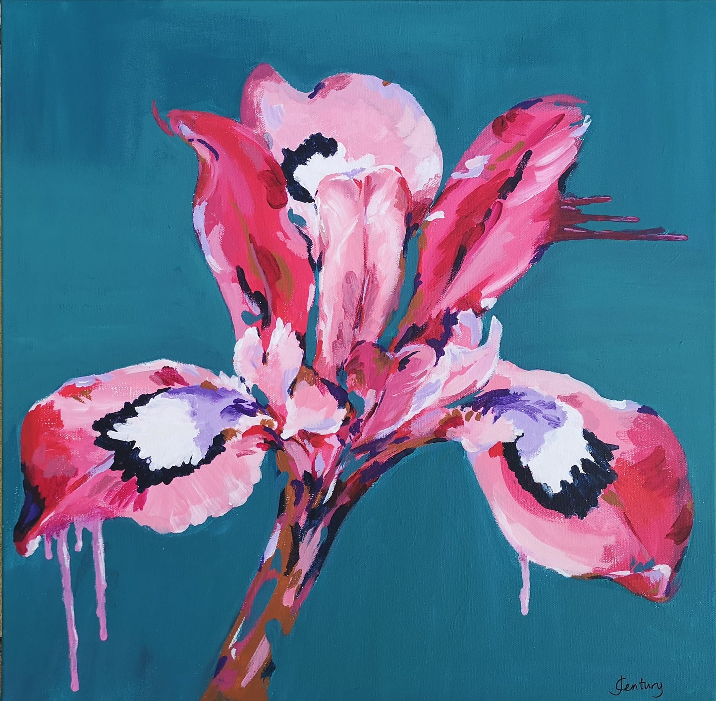 Bright Colourful Modern Iris flower canvas painting by Judy Century. Teal background with pink, white, purple and navy Iris details. Pop art style, floral abstract wall art.