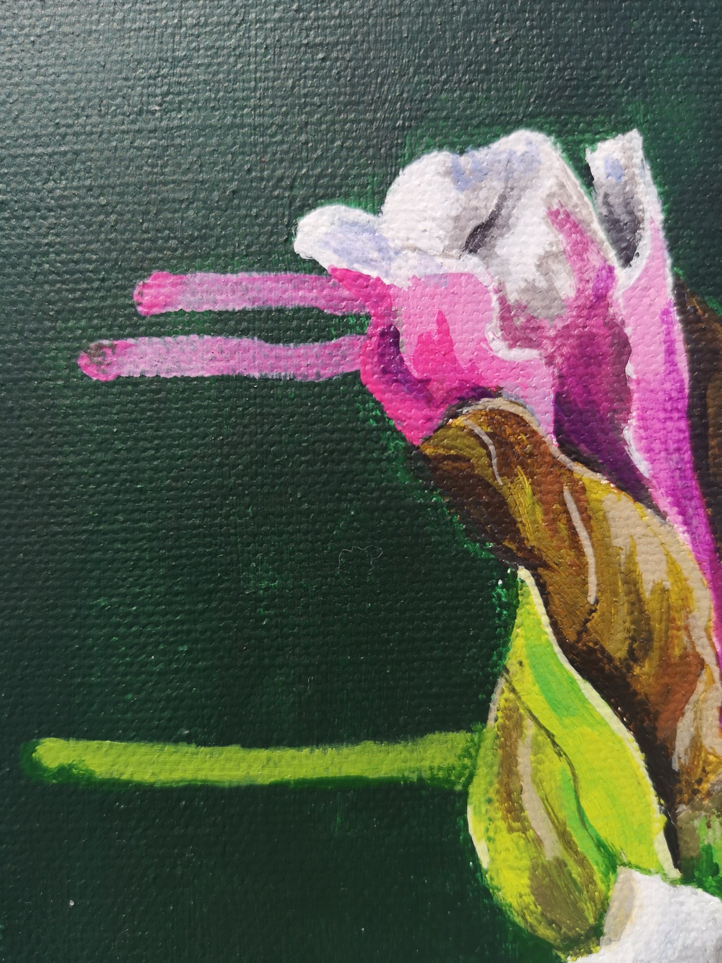 close up of Modern botanical small canvas painting magnolia tree by Judy Century 