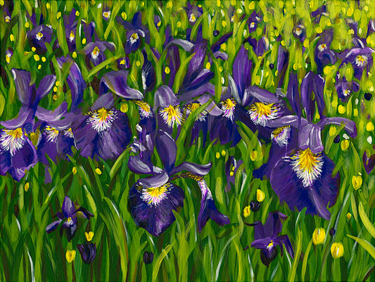 Large Acrylic Painting Iris Field Landscape, floral, flowers, colourful, interior decor, abstract art, purple, green, yellow, white paint, judy century, original canvas painting, deep edge