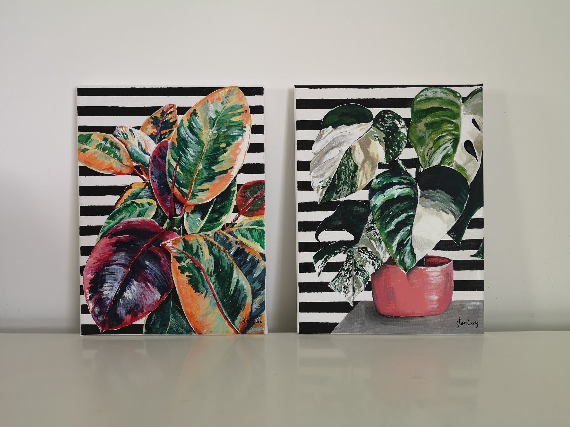 Plant painting, variegated Monstera cheese plant acrylic painting on A4 canvas with bold black and white striped pattern background shown with a similar themed painting 'Rubber Fig Plant on stripes' both by Judy Century