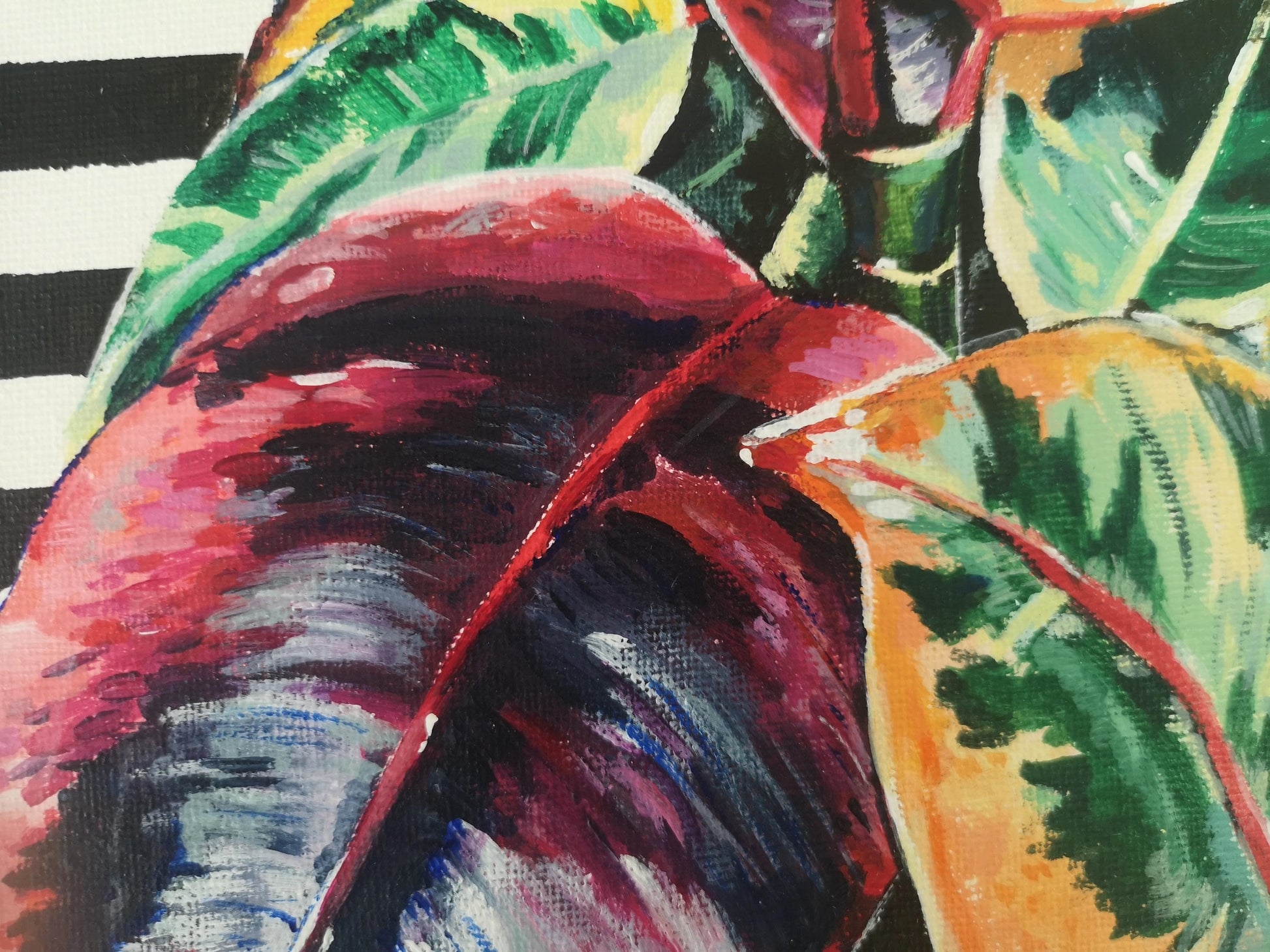 Plant painting of rubber fig. Close up of the leaves and stripy background details. Artwork by Judy Century.
