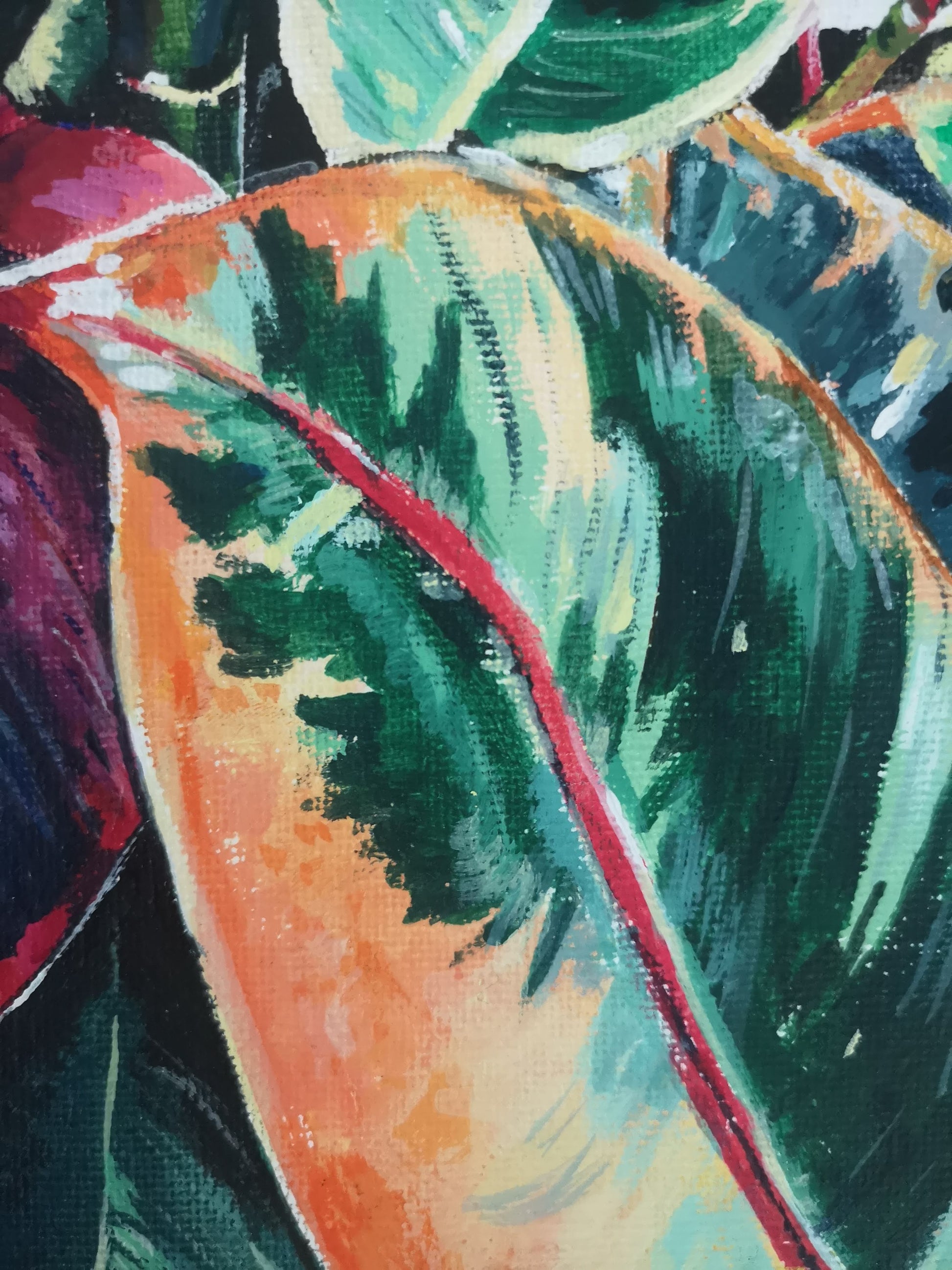 Plant painting of rubber fig. Close up of the leaf details. Artwork by Judy Century.